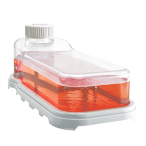 底透細胞培養瓶